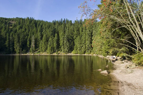 Mummelsee Black Forest Baden Wuerttemberg Germany Evropa — Stock fotografie