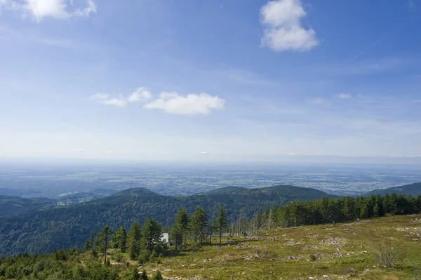 Hornisgrinde Rhine Valley Panorama Hornisgrindeturm Black Forest Baden Wuerttemberg Germany — Stock Photo, Image