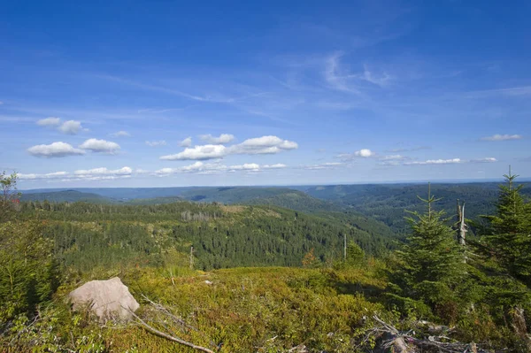 Scenics Hornisgrinde Black Forest Baden Wuerttemberg Germany Europe — Stock Photo, Image