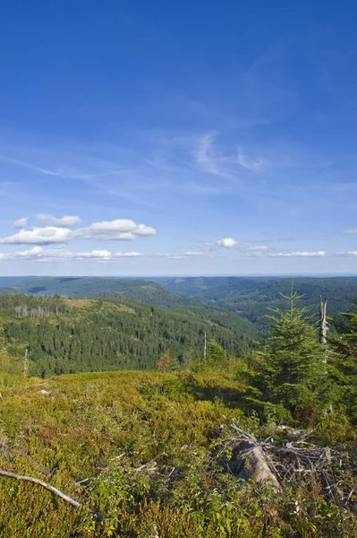 Panoramiche Hornisgrinde Foresta Nera Baden Wuerttemberg Germania Europa — Foto Stock