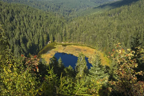 Vista Del Lago Desde Karwand Hasta Lago Huzenbacher Baiersbronn Huzenbach — Foto de Stock