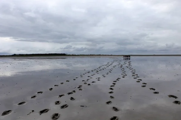 Schöne Tropische Strandlandschaft — Stockfoto