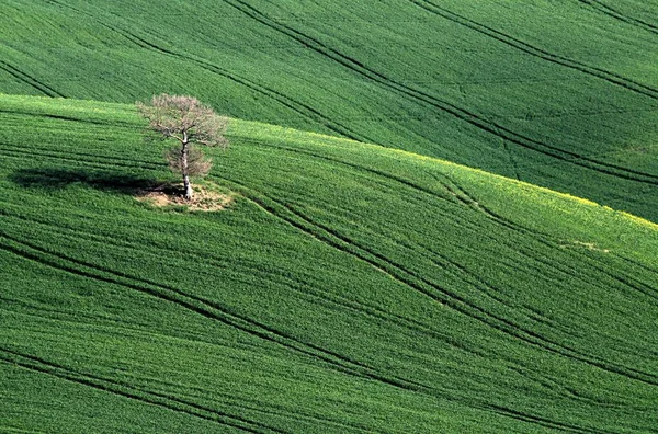 Uitzicht Toscaanse Kust — Stockfoto