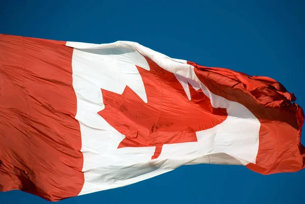 Gran Bandera Canadiense Que Sopla Viento Primer Plano — Foto de Stock