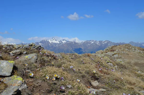 Güney Tyrol Talyanca Alto Adige Talya Nın Kuzeydoğu Kesiminde — Stok fotoğraf