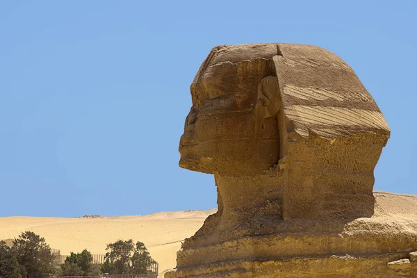 Porträt Der Sphinx Profil — Stockfoto