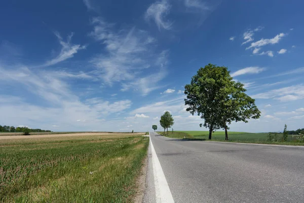 Country Road Distance Road Perspective Nature — Stock Photo, Image