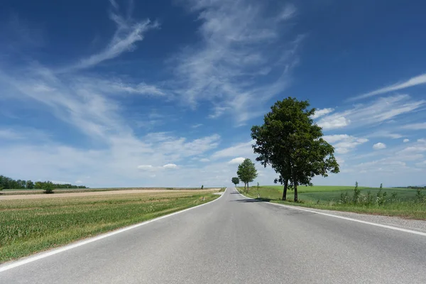 Country Road Distance Road Perspective Nature — Stock Photo, Image