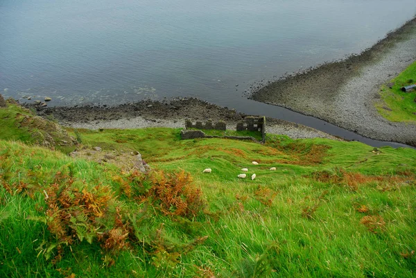 Σκωτία Ισλανδία Της Σκάι — Φωτογραφία Αρχείου