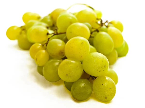 Green Grape Vine White Background — Stock Photo, Image