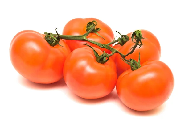 Rote Tomaten Vor Weißem Hintergrund — Stockfoto