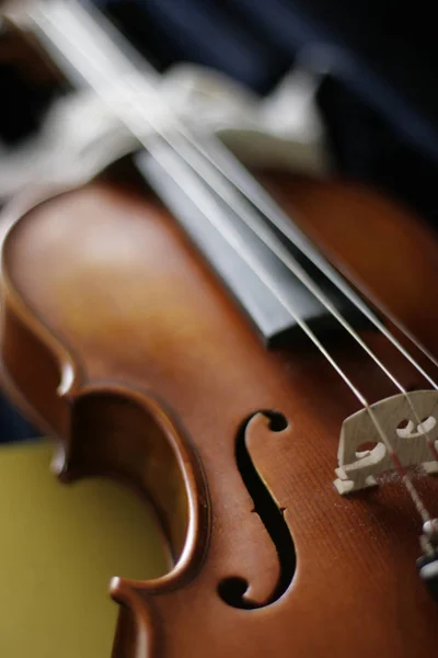 Violin Musical Instrument Close — Stock Photo, Image