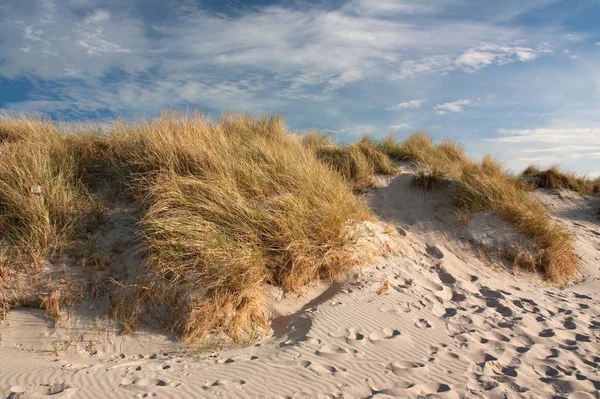 Дюны Пляже Балтийского Моря Рядом Хайфом Фельде Гольштейном — стоковое фото