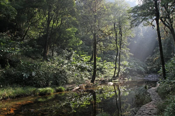 Goldener Strom Bei Sapa Vietnam — Stockfoto