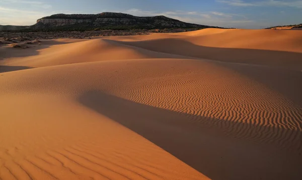 Coral Pink Sand Dunes State Park Utah —  Fotos de Stock