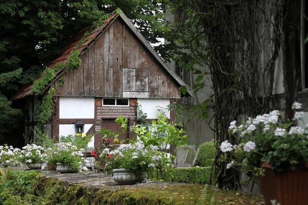 Malebný Pohled Majestátní Středověkou Hradní Architekturu — Stock fotografie