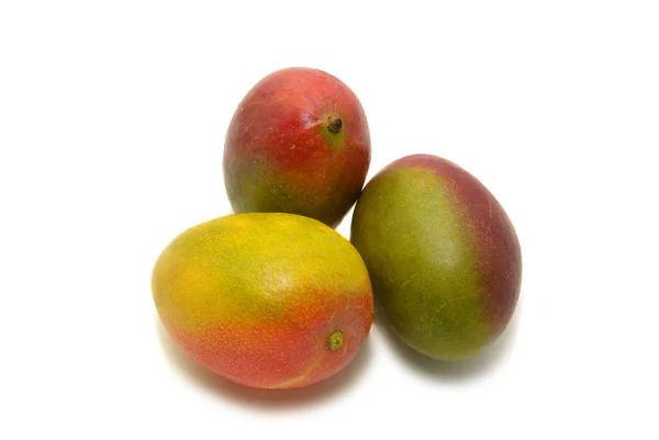 Frutas Tropicales Mango Concepto Alimentos — Foto de Stock