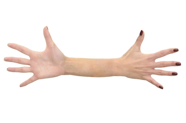 Mains Isolées Blanc — Photo