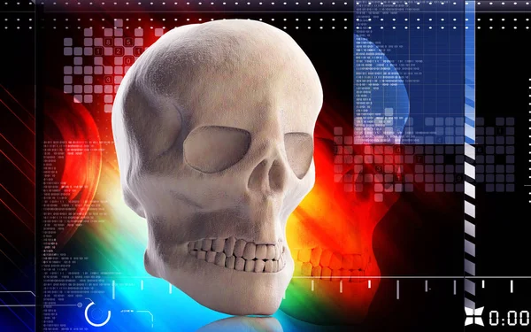 人間の頭蓋骨のカラー背景のデジタルイラスト — ストック写真