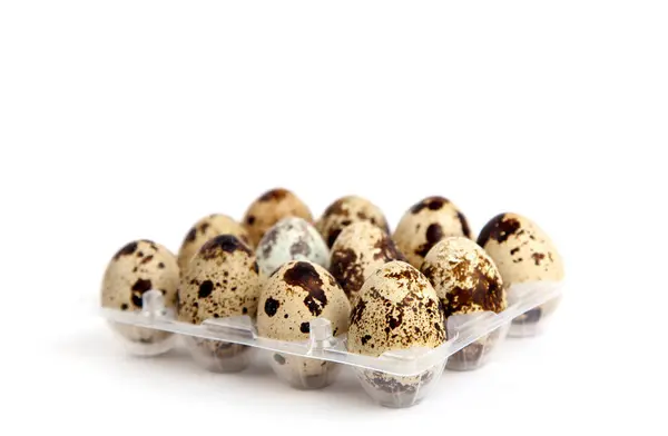Перепелині Яйця Ізольовані Білому Тлі — стокове фото