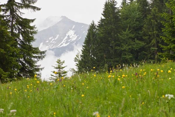 Primavera Nas Montanhas — Fotografia de Stock