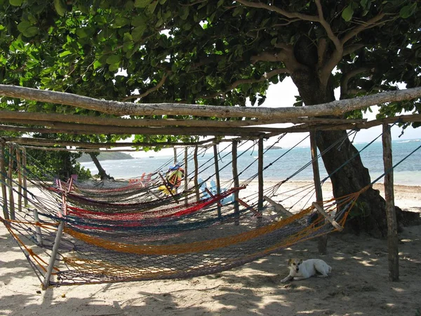 Hamacas Bahía Maimón — Foto de Stock