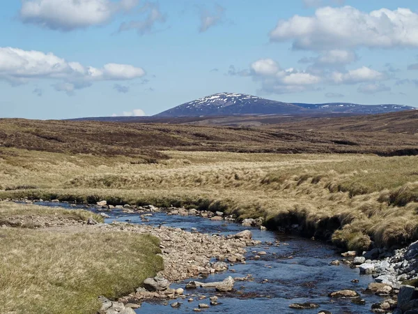 Skotsko Jihovýchodní Cairngorms Květnu — Stock fotografie