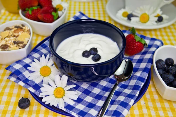 Joghurt Leckeres Dessertessen — Stockfoto