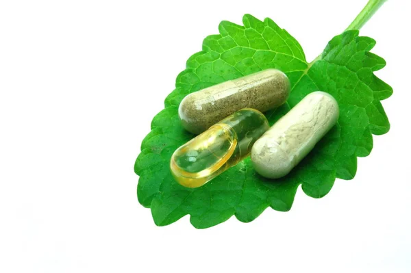 Capsules Base Plantes Sur Feuille Melisa — Photo