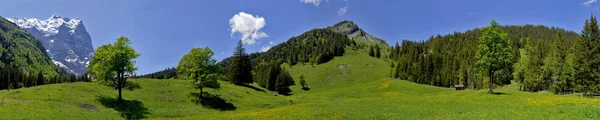 Vue Panoramique Sur Paysage Alpin Majestueux — Photo