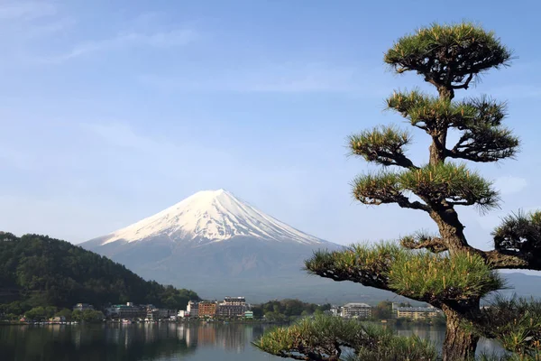 Mont Fuji Reflète Dans Mer — Photo