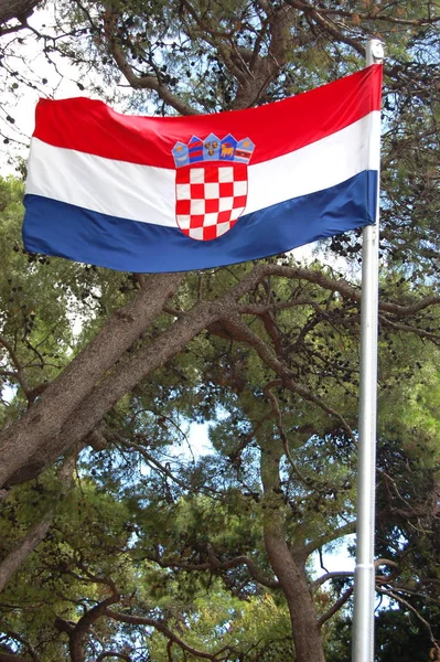 Bandiera Nazionale Della Croazia Degli Alberi — Foto Stock