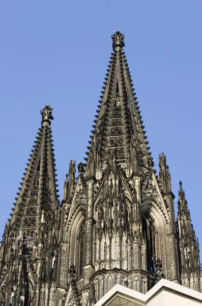 Kölni Katedrális Tornyai — Stock Fotó