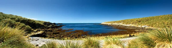 Immagine Panoramica Sull Isola Dei Reni Isole Falkland — Foto Stock