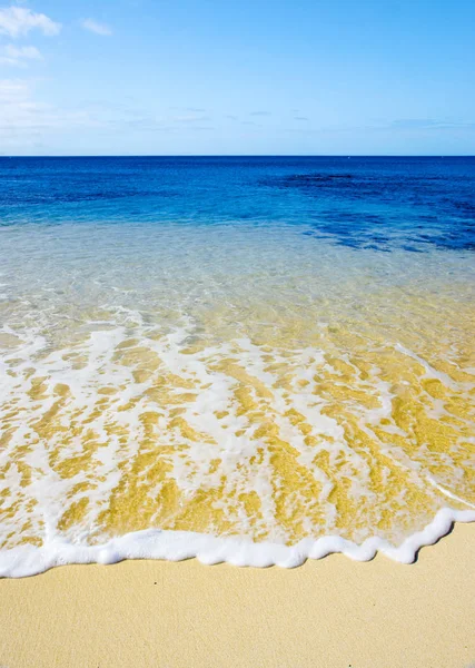 Красивый Тропический Пляж Острове Вознесения — стоковое фото