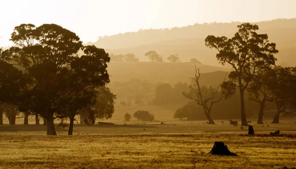 Sun Sets Rural South Australia — Stock Photo, Image