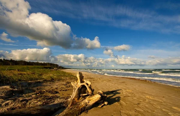 Bella Vista Sulla Riva Del Mare — Foto Stock