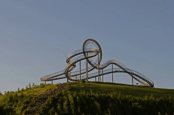 Tiger Och Sköldpadda Duisburg — Stockfoto