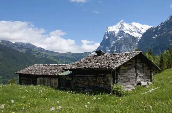 Mountain Farmhouse Alp – stockfoto