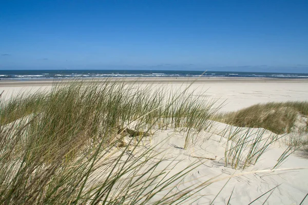 Dunes Sable Sur Plage Mer Nord — Photo