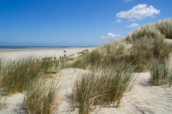 Dunes Sable Sur Plage Mer Nord — Photo