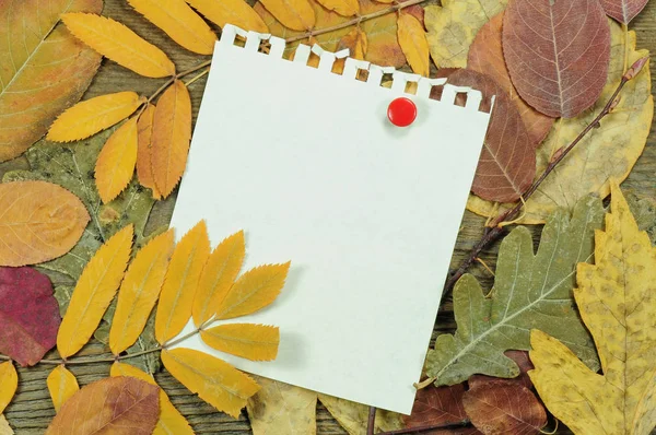 Осенние Листья Блокнот Деревянном Фоне — стоковое фото