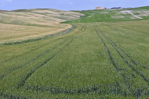 Rönesans Kasabası Pienza — Stok fotoğraf