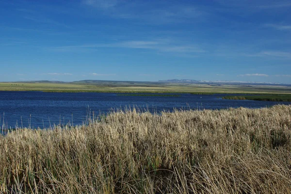 Perto Lago Malheur Orégão — Fotografia de Stock