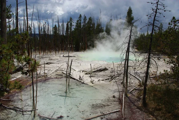 Parco Nazionale Yellowstone Parco Nazionale Degli Stati Uniti Questo Rende — Foto Stock
