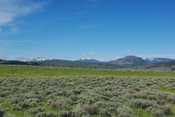 Prérie Balvany Wyoming — Stock fotografie