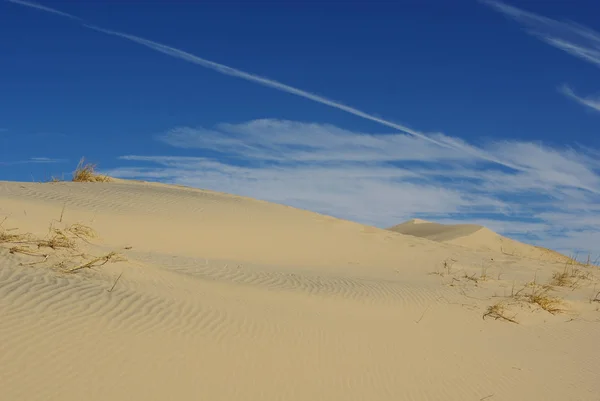 Mojave Sanddyner Kalifornien Oyuze Kalifornien — Stockfoto