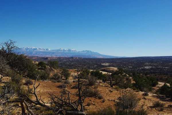 Hohe Wüste Und Manti Sal Berge Utah Usa — Stockfoto