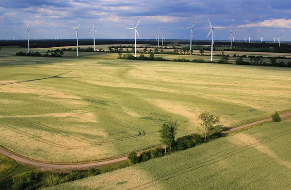 Wind Farm Blumberg Saxony Brandenburg — Stock Photo, Image