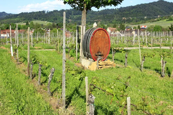 Weinfass Kaiserstuhl — Stockfoto